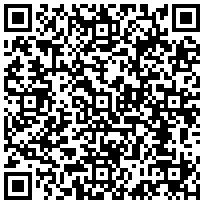 <b>Notice</b>: Undefined variable: h_title in <b>/home/u446536/royaldolls.ru/www/system/config/ssb_library/catalog/tools/panel_bar.tpl</b> on line <b>32</b>